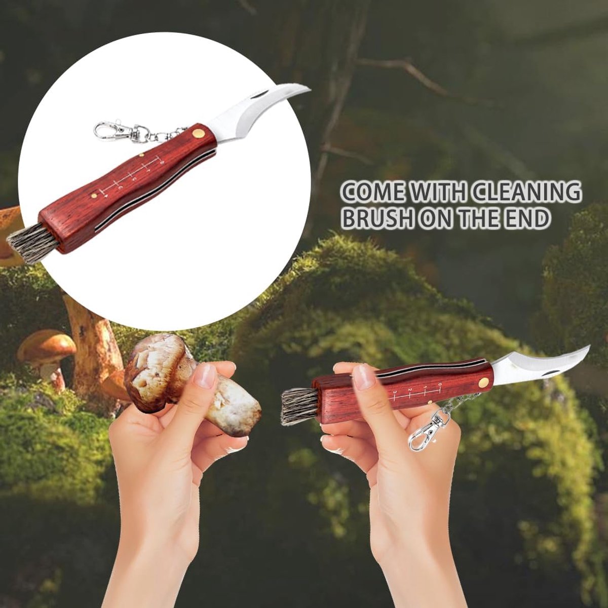 Mushroom Knife with Brush, Sponge Knife for Collecting Mushrooms, with Ruler, Mushroom Pocket Knife Made of Stainless - ShopVlot