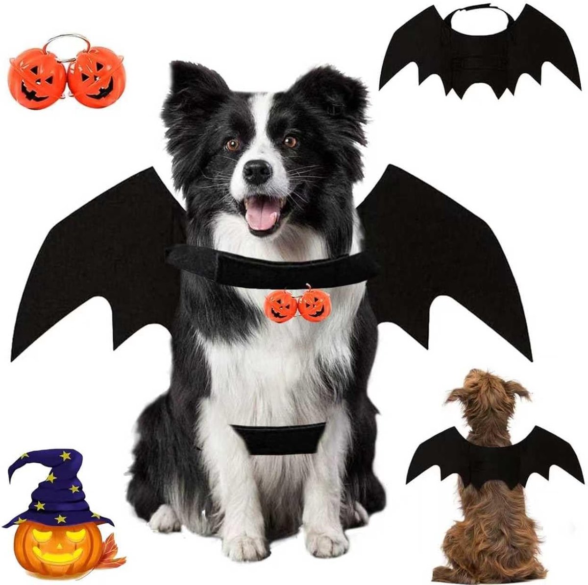 SnelShoppen - Bat Wings Hond Kat Kostuum met 2 Stuks Pompoenbel Bat Kostuum voor Huisdieren Verstelbare Hond Bat Vleugels voor Honden Katten Halloween