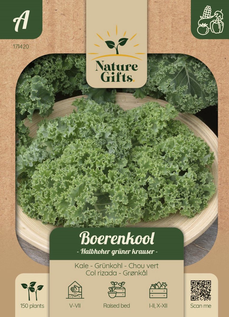 Boerenkool Halfhoge groene gekrulde groentenzaad Nature Gifts Baltus
