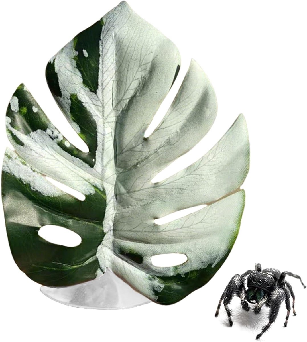 Spinnenkooi decoratie - Blad ornament - Habitat verrijking - Naturalistisch ontwerp - 11 x 10 x 1 cm - Groen