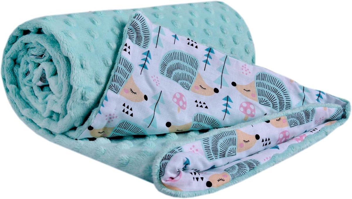 SnelShoppen - Babydeken 100% Katoen, 75x100 cm Dubbelzijdige Multifunctionele Minky Deken voor Kinderwagen, Zacht Fluffy (Mint Egel met Mint Minky)