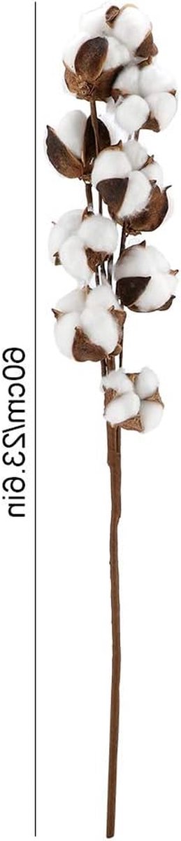 Gedroogde Katoen - Natuurlijke Takken - Huisdecoratie - Handgemaakt Natuurlijk - 3 Stuks 60cm - Wit