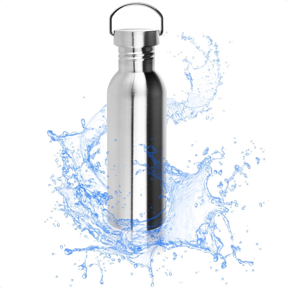 SnelShoppen - RVS Drinkfles met Handvat, Duurzame Camping Canister, Schokbestendig en BPA Vrij, 750 ml - Perfect voor Kinderen en Avonturen
