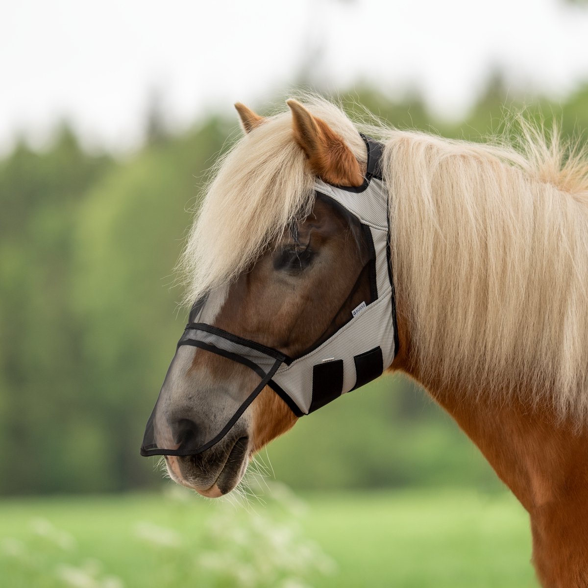 Busse Vliegenmasker Fly Guard Free Plus-Light Grey-Shetlander