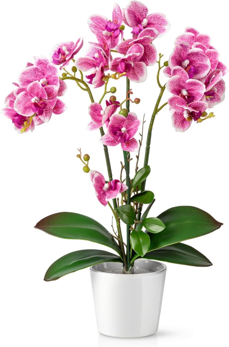 Kunstorchidee in pot - Decoratieve bloemen - Woonkamer decoratie - Echte keramiekpot - 46 