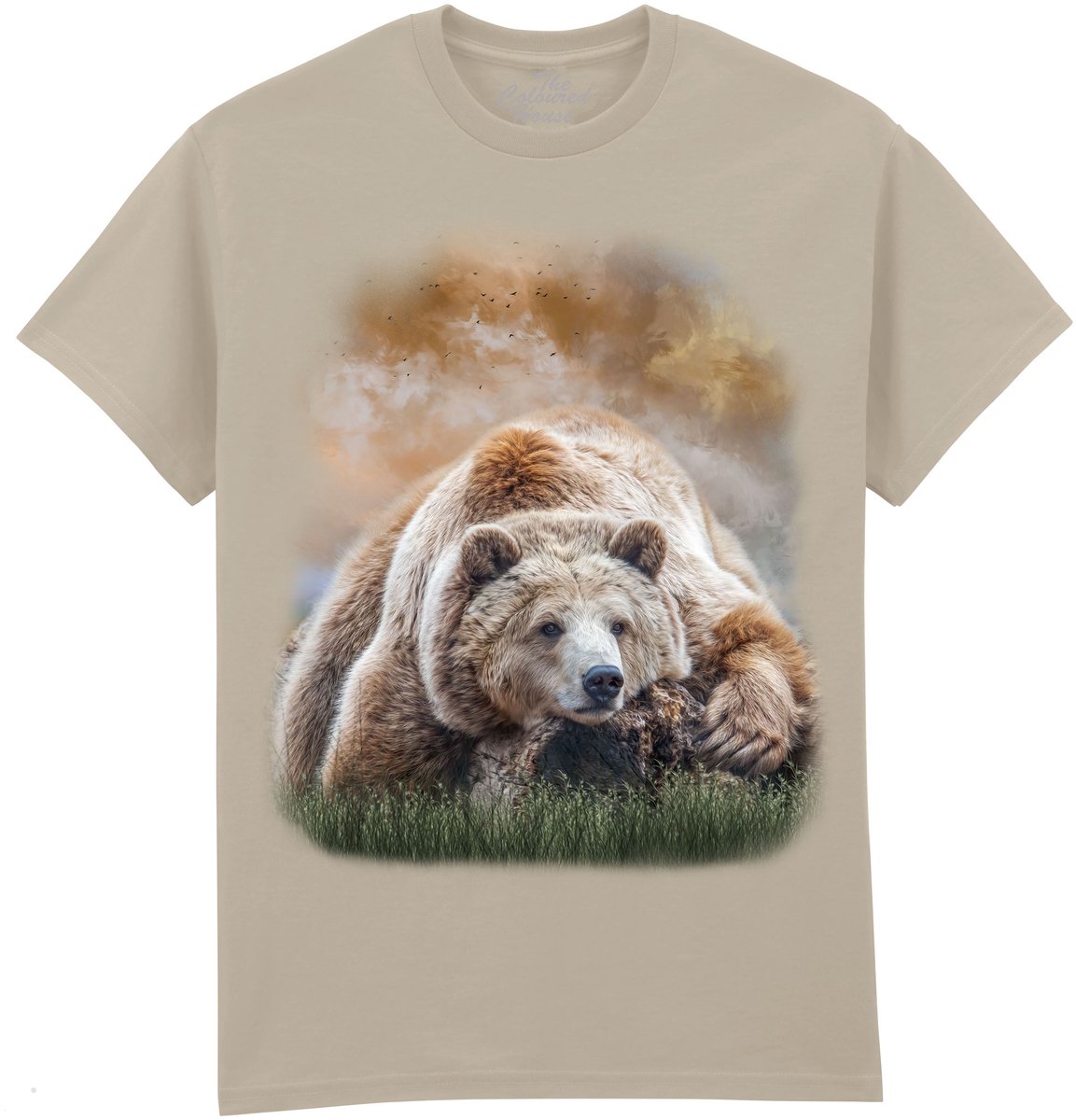 Beer Bearly Awake The Coloured House T-shirt XXL