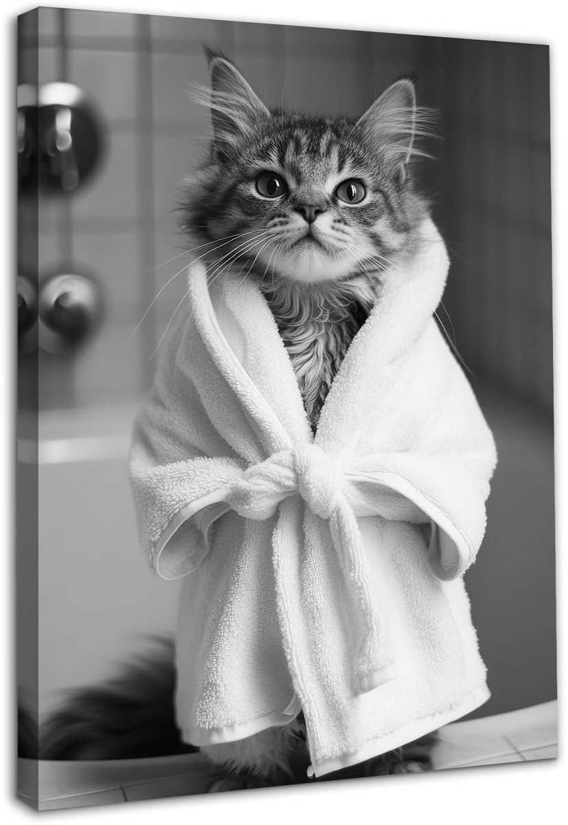 aladdien - Grappige Kat Badkamer Kunst - Schattige Kat In Badjas - Ingelijste Canvas Print - 12x16 Inch - Dier Foto - Perfect voor Badkamer of Toile..