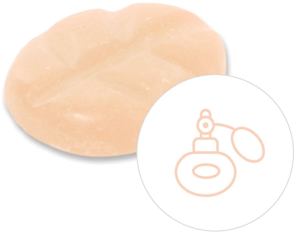 Scentchips® Divine Dao - Geurblokjes - Huisparfum - Geurchips - Waxmelts - Geschikt voor Geurbrander en Waxbrander - M - 13 Stuks
