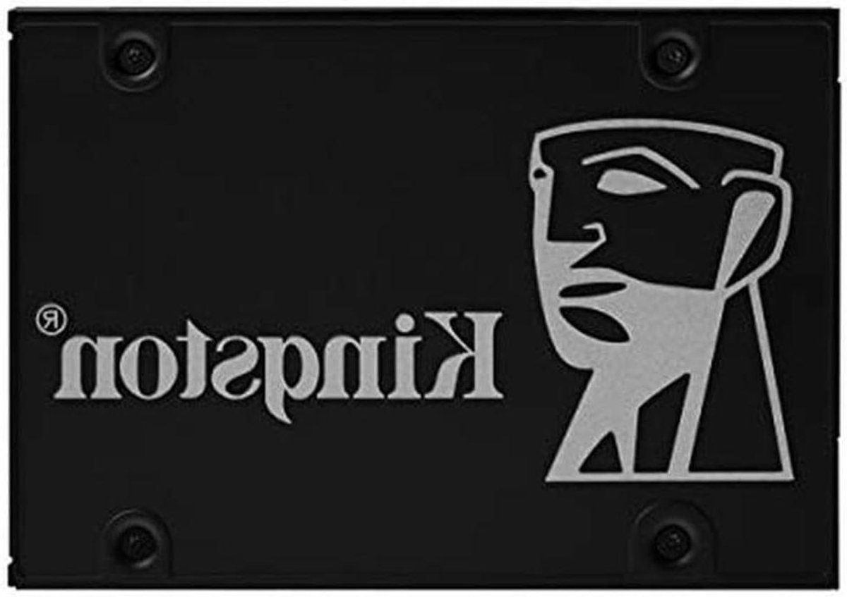 Interne SSD - Opslag Schijf - Snellere Prestaties - Hardware Encryptie - 256GB - Zwart