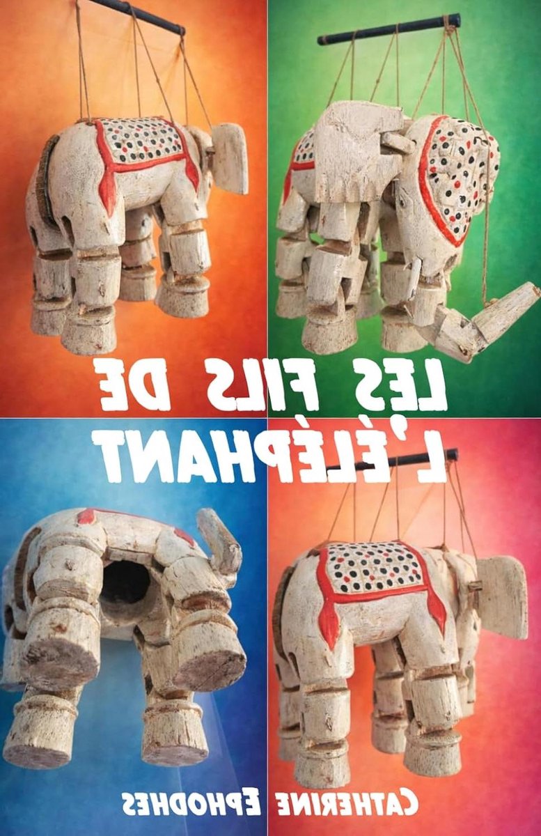 Roman Les Fils de l’Elephant - Mysterie Roman Thriller - Ontspannend Lezen - Oude Kaart Mysterie - 442 pagina's