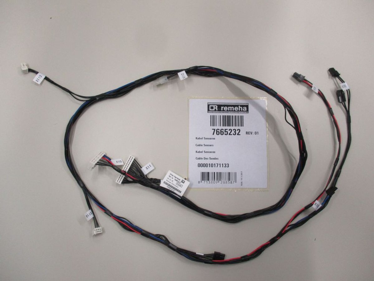 Remeha Kabel LV/ELV, 7665232
