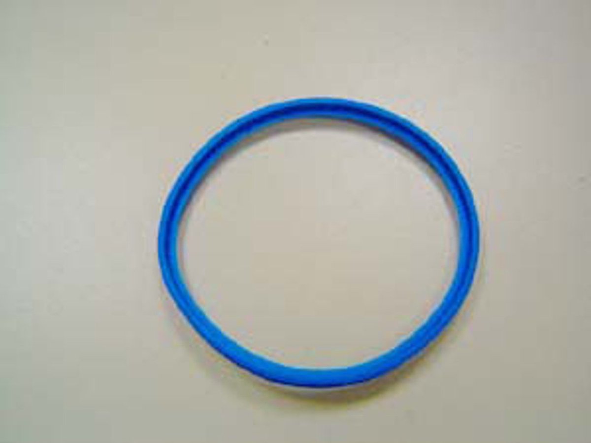 Remeha PPS Dichting DN100, M85016