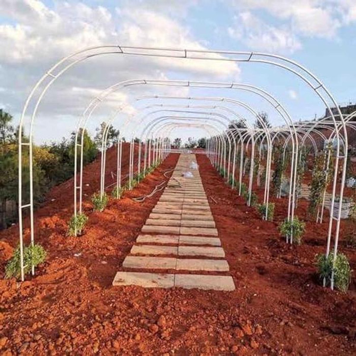 Metalen Tuinprieel - Decoratieve Boog - Planten Ondersteunen - Roestbestendig Frame - 400 x 220 cm - Wit