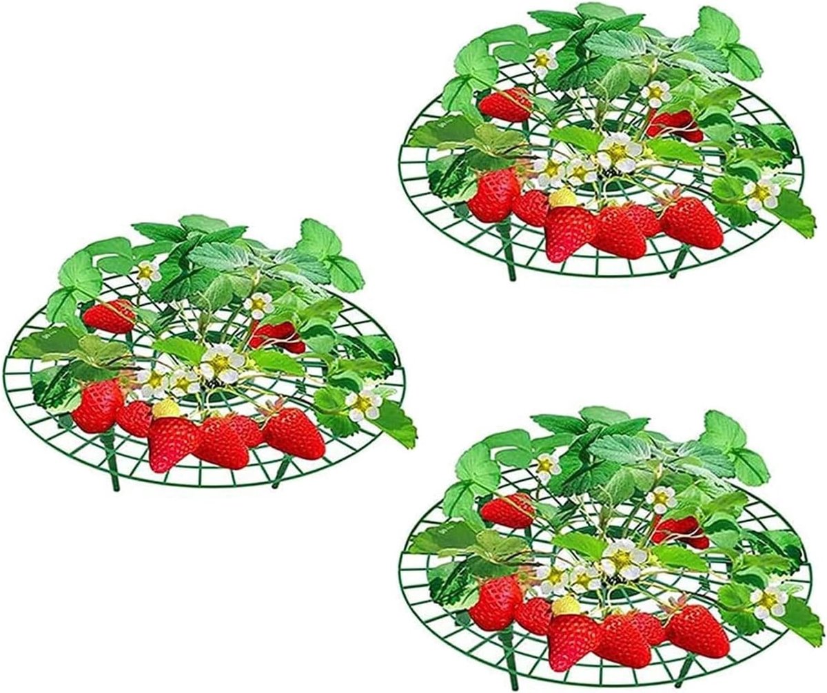 Set van 3 ronde plastic plantsteunen voor aardbeien - Ondersteuning voor klimplanten, houdt fruit van de grond en bevordert de groei, eenvoudig te installeren.