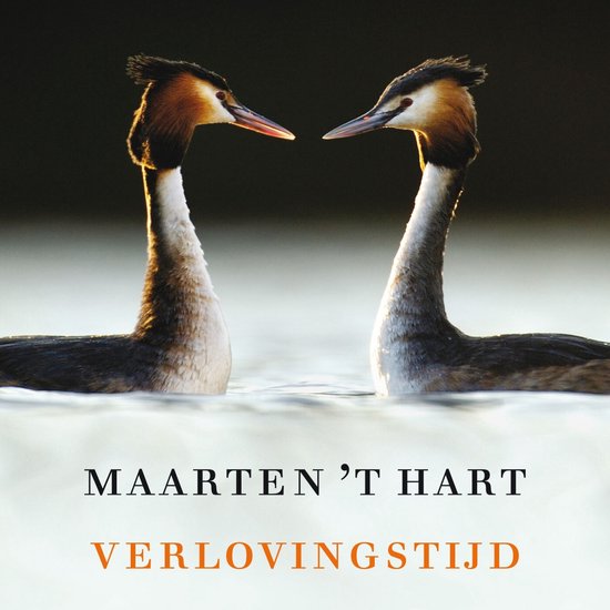 Verlovingstijd - cover
