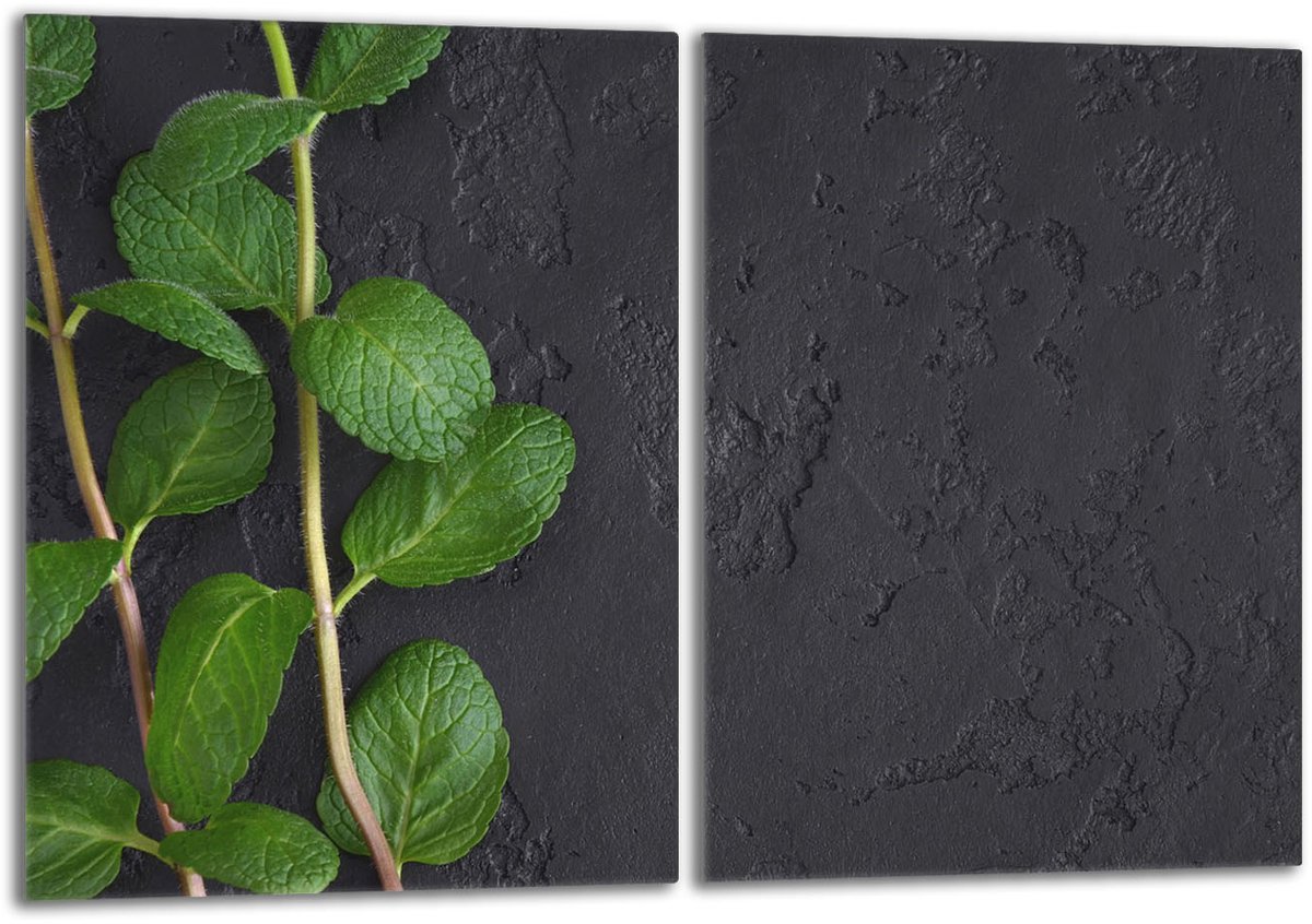 TMK ArtDeko Serie - Glazen Beschermplaat - 2x40x52 cm - Muntkleur
