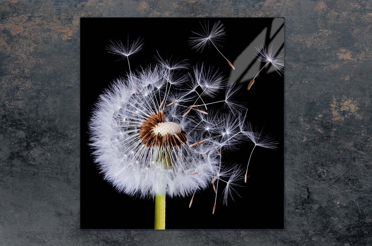TMK ArtDeko - Snijplank - 50x52 cm - Kleurvolle Bloemen - Glas