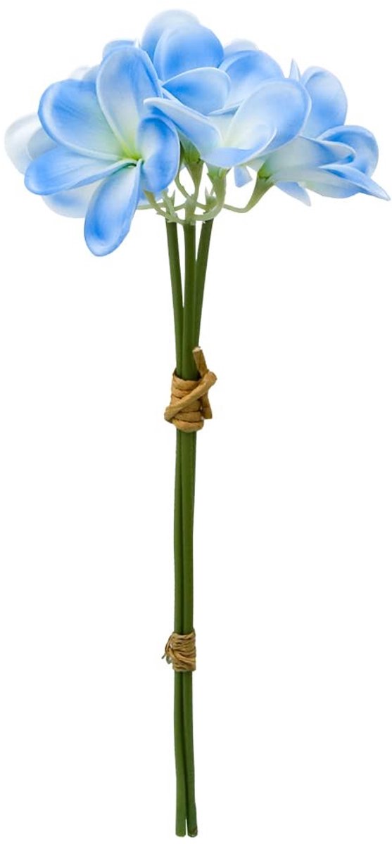 Cosensi - Kunstmatige Plumeria Hawaii Bloem - Nepp bloemen voor decoratie - Blauw & Wit - Perfect voor bruiloften en feesten - Geschikt voor binnen...