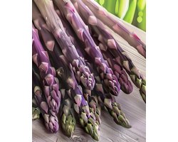 Asperges Zaden Albenga F1 Asparagus Officinalis Meerjarig
