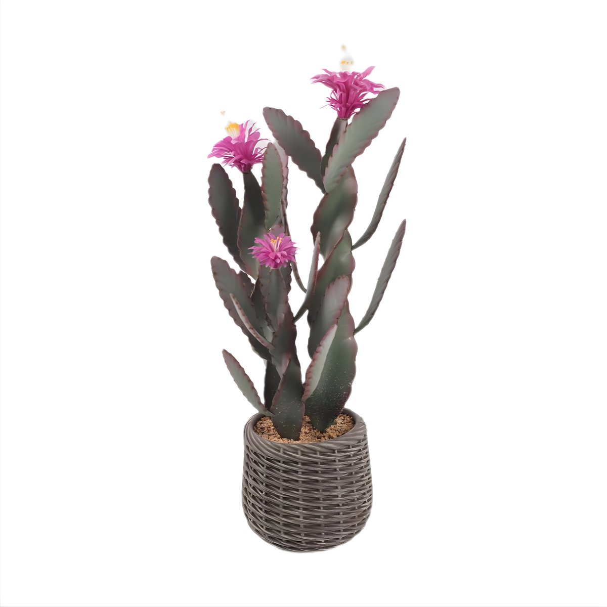 Happiq Kunstplant Cactus 92 cm - Grote Nep Vloerplant - Roosrood Bloemen Groen
