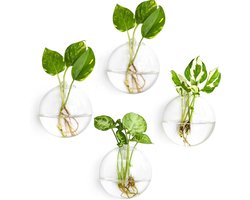 Glazen Terrarium - Bloem Planter Vaas - Hydrocultuur Planten - Aan de muur monteerbaar - 2 stuks 12cm - Transparant