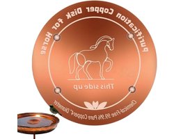 Koperen Waterzuiveraar - Reinigingsschijf - Schoon Drinkwater - Natuurlijke Ionisator - 10 cm - Koper
