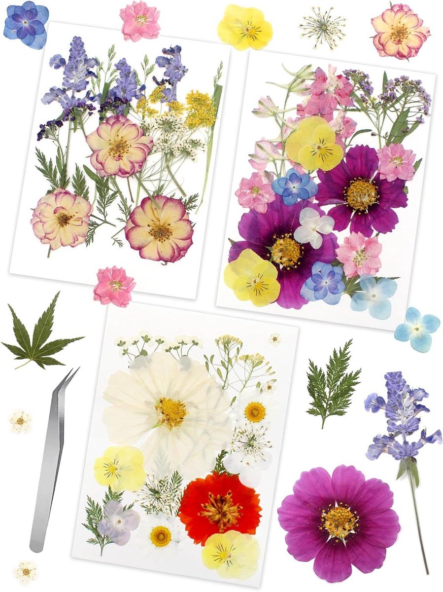 Gedroogde Bloemen - Natuurlijke Bladeren - Ambachtelijke Projecten - Echte Geperste Planten - 56 Stuks - Meervoudig