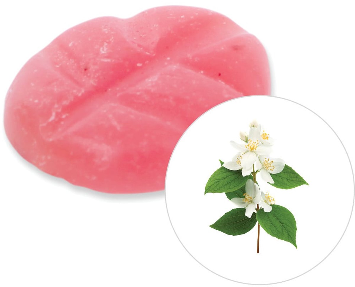 Scentchips® Jasmijn - Geurblokjes - Huisparfum - Geurchips - Waxmelts - Geschikt voor Geurbrander en Waxbrander - S - 8 Stuks