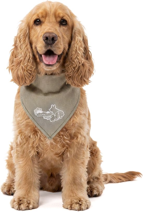 CoolPets Bandana Rafraîchissant Chien M - Cooling Bandana Chien - Bandana Rafraîchissant Collier Chien - Collier Rafraîchissant - Rafraîchissement Chien - 65 x 30 cm - Beige