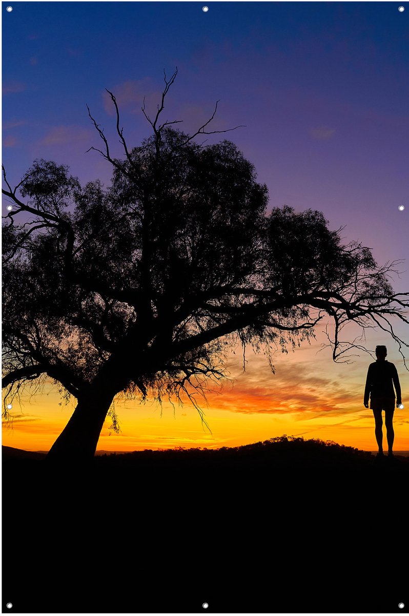 Zonsondergang Silhouet Boom - Tuinposter - Tuindoek - 80x120 cm - Buitenposter - Schuttingdoek - Tuinschilderij voor Buiten