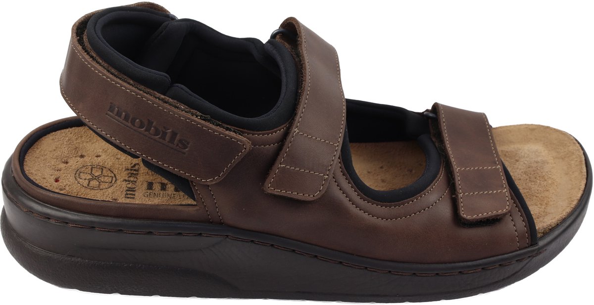 Mephisto Valden.11951 Bruin