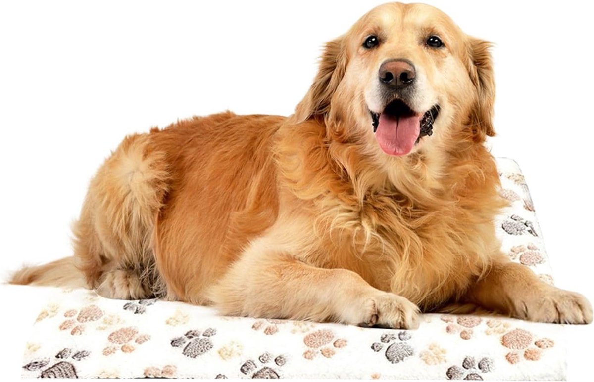 Verwarmingsmat Huisdieren - Warmtedeken Kat - Comfort Bieden - Warmte Zonder Elektriciteit - 57 x 46 cm - Wit