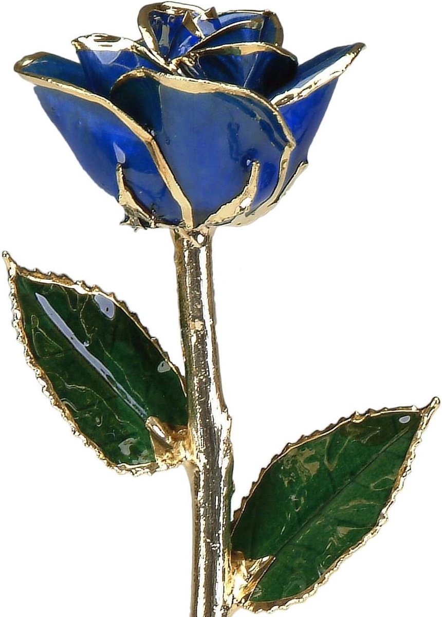 Echte Roos - Gouden Bloem - Liefde Tonen - Platina Verguld - 30.5 cm - Blauw