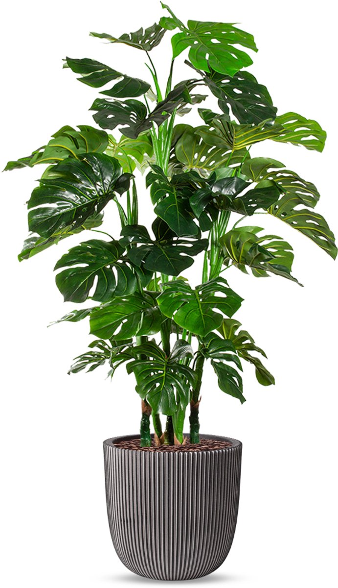 HTT Decorations Kunstplant Monstera XL in Planter Ball groove antraciet H155 cm