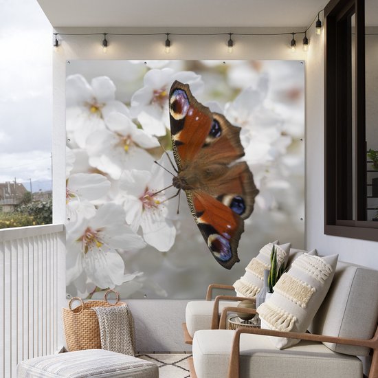Poster Jardin Papillon paon sur fleur de cerisier - 200x200 cm - Toile jardin - Poster extérieur