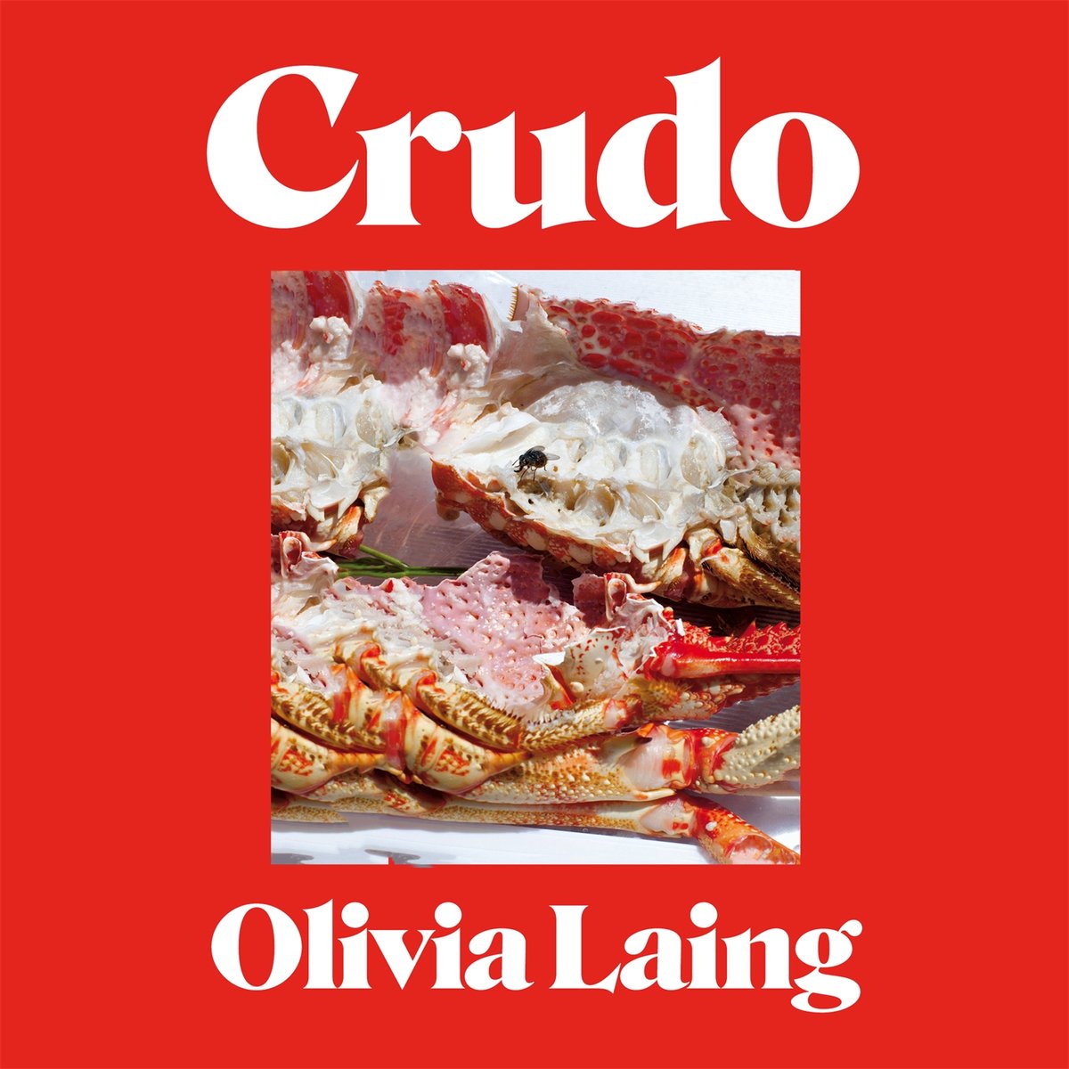 Omslag van Crudo