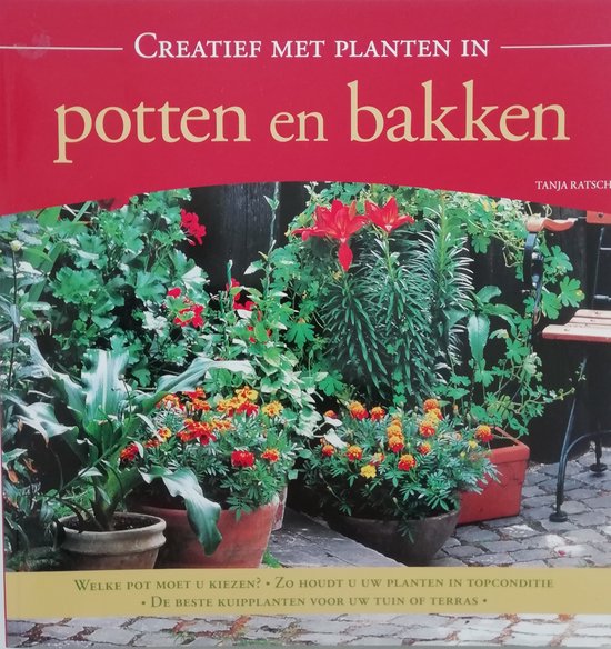 Creatief met planten in potten en bakken