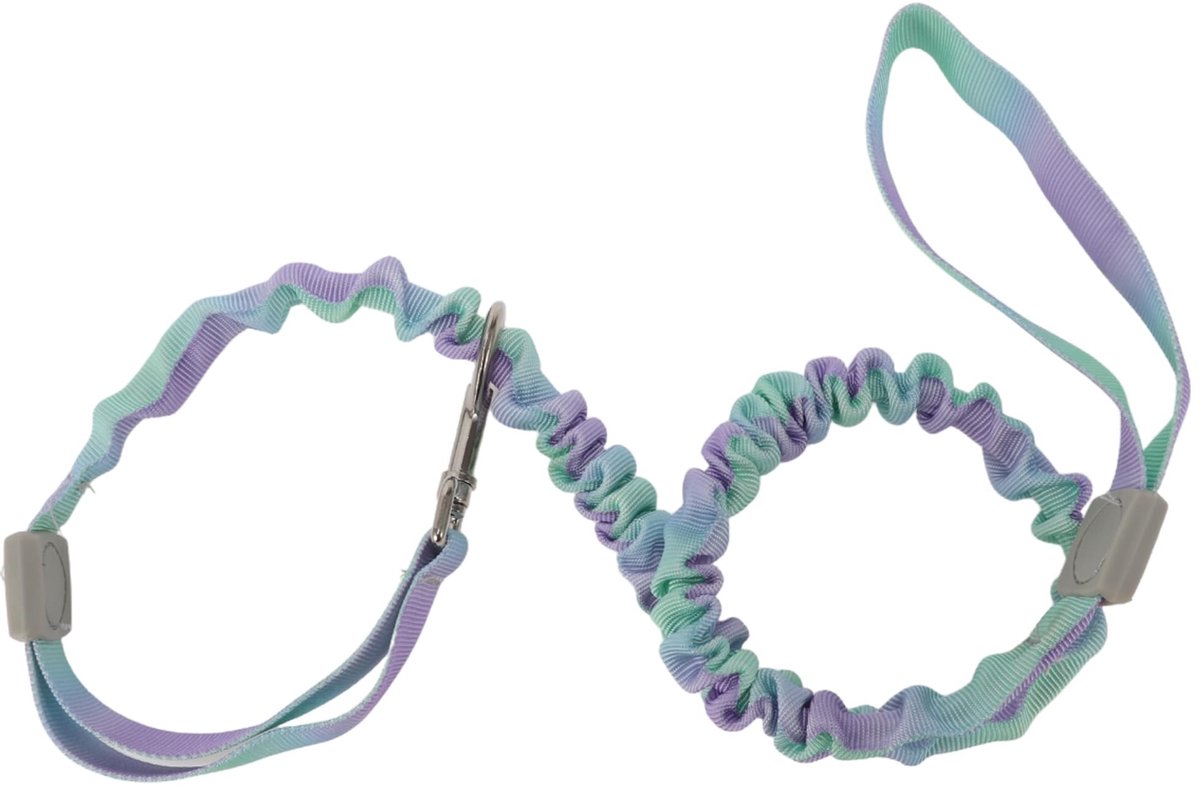 Dailygoody - Hondenriem - Dubbele handgreep - Veiligheid voor jou en je hond - Groen en paars - Elastisch nylon - Geschikt voor honden - Lengte 1