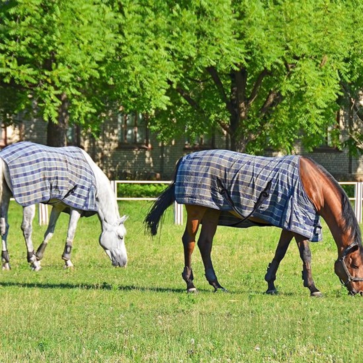 2 stuks