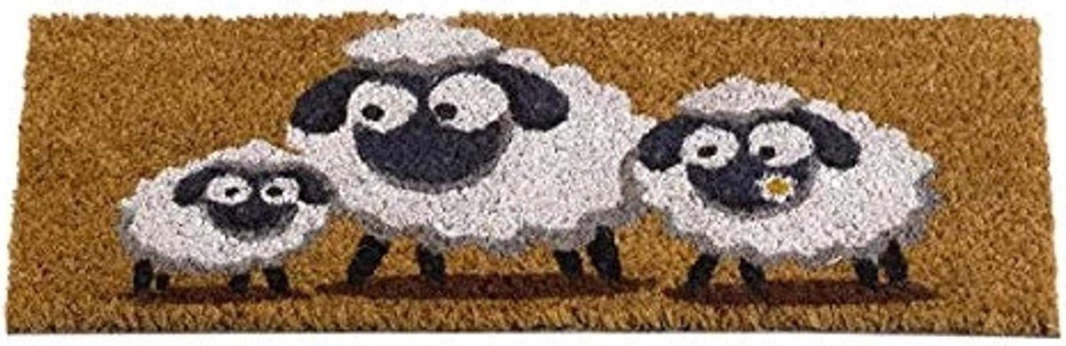 Kokos deurmat - Voordeur mat - Vuil buiten houden - Antislip achterkant - 53 x 23 cm - Kle