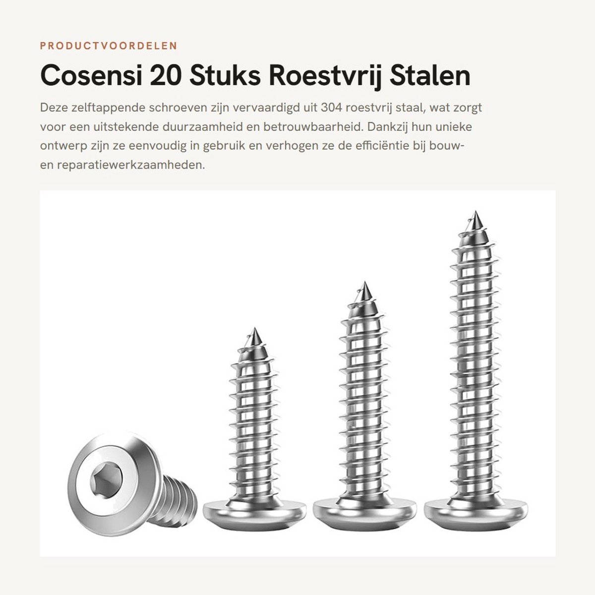 Dailygoods- Houtschroeven 20 stuks - Zelftappende Schroeven - Platte Kopschroeven - Binnenzeskantschroeven - Roestvrij Staal - Duurzaam en Betrouwbaar