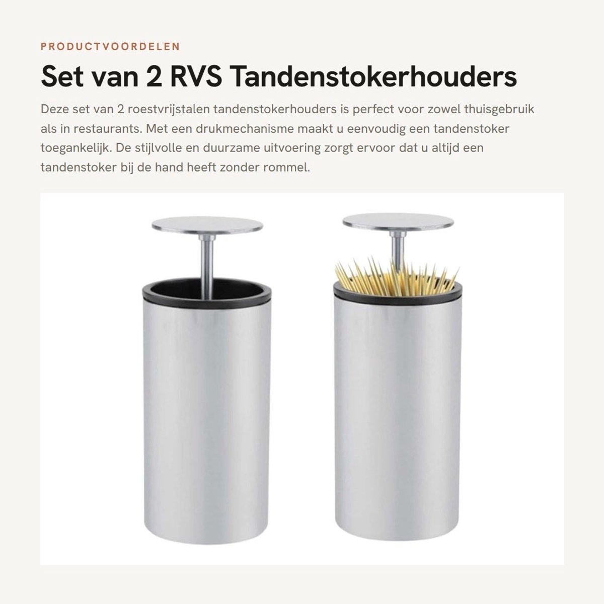 Dailygoods- Tandenstokerhouder RVS - Tandenstoker Dispenser - Tandenstokers - Opbergdoos - Antislip - Voor Thuisgebruik