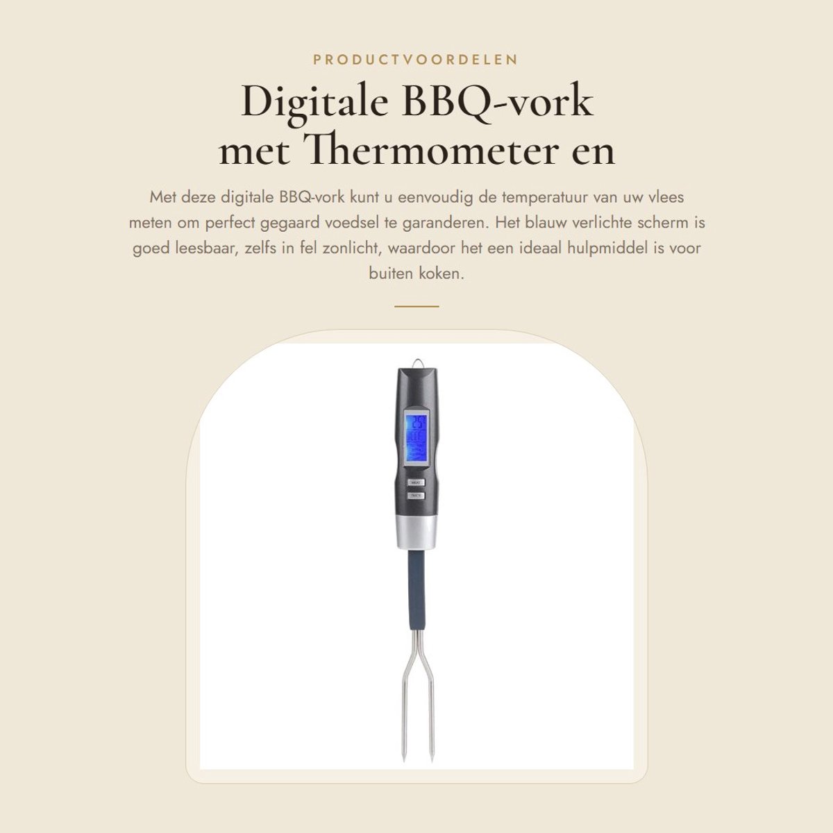 Dailygoods - Digitale BBQ-vork met Thermometer en Blauw Verlicht Scherm