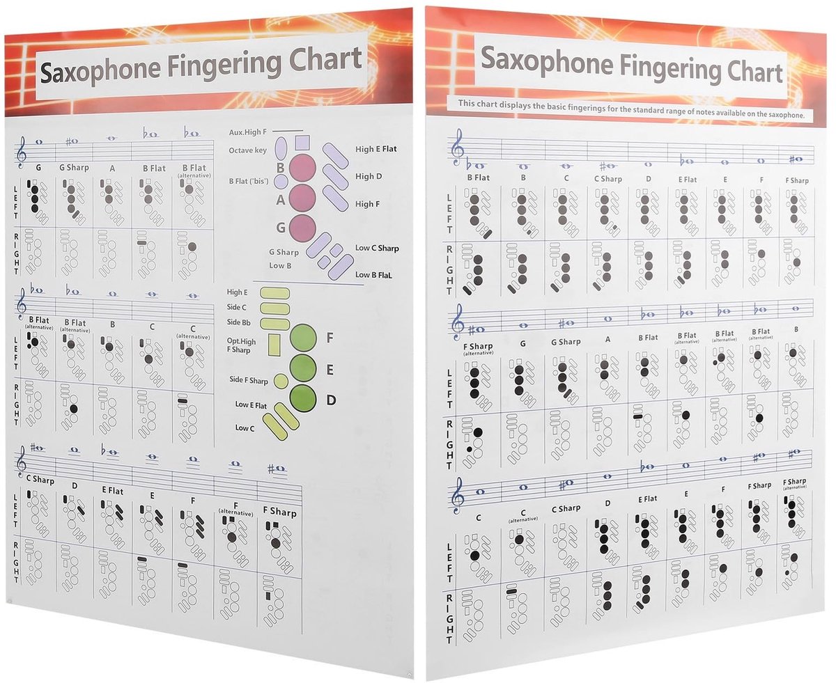Dailygoods- Vingerzettingstabel Beginnersgids - Universele Akkoorddiagrammen - Basis Vingerzettingen - Hoogwaardig Gecoat Papier - Duurzaam en Duidelijk - Saxofoon Gids
