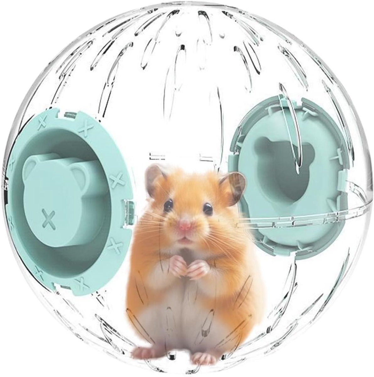 Dieren Loopbal - Speelgoed Bal - Huisdier Beweging - Veilige Oefening - 16 cm - Transparant