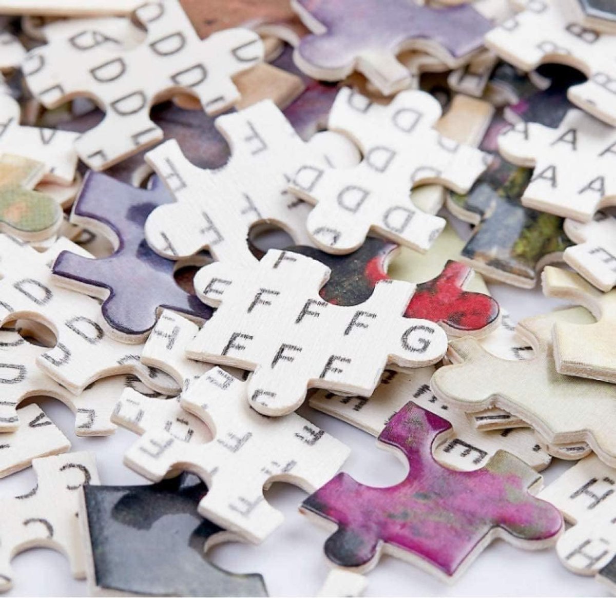 Kerstpuzzel 1000 Stukjes - Educatieve Puzzel - Ontspannend Spel - Planten en Schimmels - 1000 Stukjes