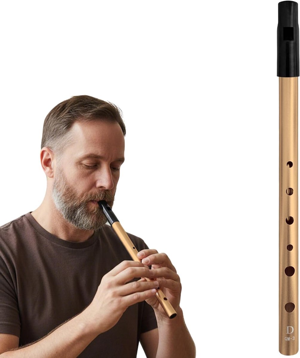 Beginnersfluit - Tinfluit D - Muziek Leren - Gouden Premium Afwerking - 6 Gaten - Goud