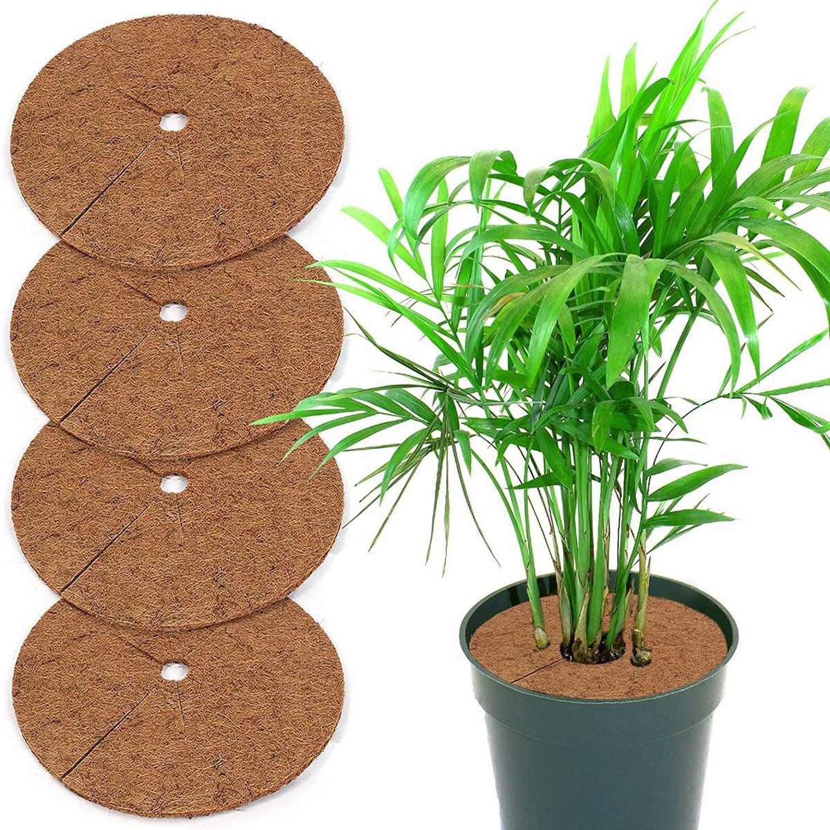 5 stuks Kokosvegel mulchring 30 cm – Natuurlijke kokoscoir beschermmat voor bomen en planten, binnen en buiten