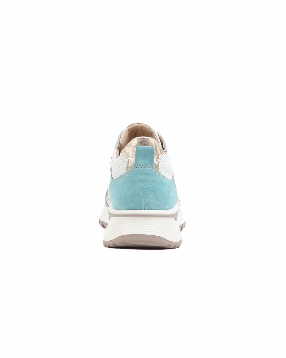 FOOTNOTES blauwmulti