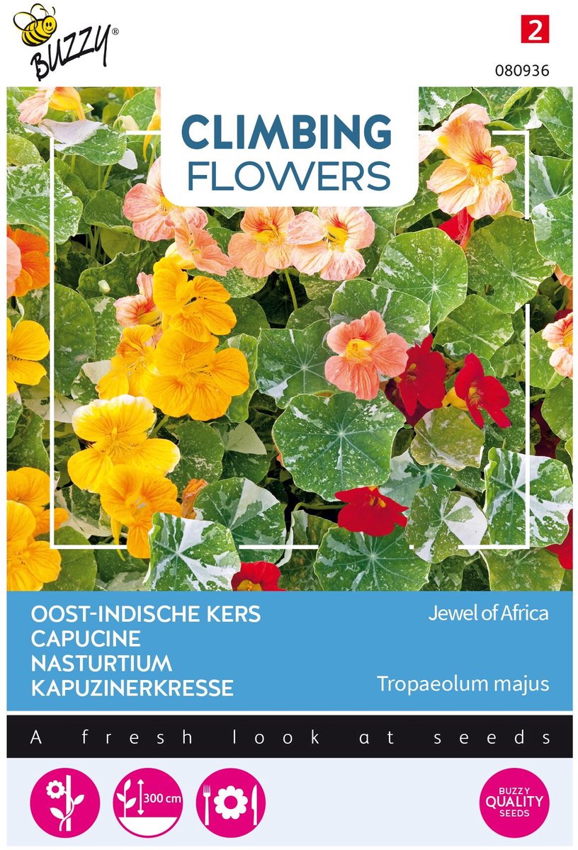 Buzzy  Flowering Climbers Tropaeolum Jewel of Africa Bloemzaad